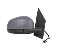 BLIC 5402-02-1326317P Wing mirror