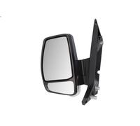 BLIC 5402-03-2001289P Wing mirror