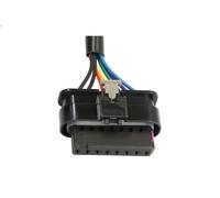 BLIC 5402-07-2590313P Wing mirror