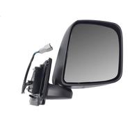 BLIC 5402-16-0991311P Wing mirror