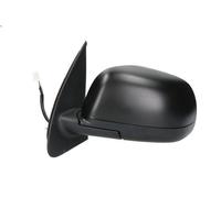 BLIC 5402-16-2001907P Wing mirror