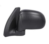 TYC 313-0010 Wing mirror