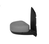 BLIC 5402-04-1546372P Wing mirror