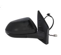 BLIC 5402-19-2392313P Wing mirror
