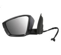 BLIC 5402-43-1925318P Wing mirror