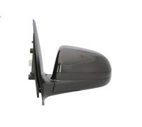 BLIC 5402-56-005361P Wing mirror