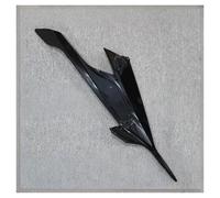 Side Spoiler Dynamic Wing For S1000RR S1000 RR 2019 2020 2021 2022 Body Fairing Kit Left And Right Side Panels For