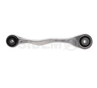 Control Arm Rear Axle Left Push Rod 210176 SIDEM for BMW X3 X4 X3 Van