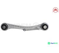 RODSTRUT WHEEL SUSPENSION 15176 FOR TESLA