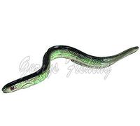 Sidewinder Shimmer Eels 6"
