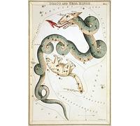 Sidney Hall - Urania's Mirror - Draco and Ursa Minor Constellation (1825) Photo Poster Painting Art Print - Matte Paper - V4 - Size: A3 (29.7 x 42 cm)