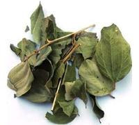 Sidre Leaves: Natural Sidr Jujube Leaf Sold in a Resealable Pot to Protect Whole Leaves ( Rokia Chariaa)