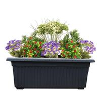 SIDSONS Garden Trough Long Window Planter - Sl lack Plastic Raised Plant Box for Herbs, Small Bushes, Vegetables and Flowers - Windowsill Patio 70cm
