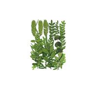 siduytin Dried Leaves Set Real Leaf Decal Handicraft Pressed Specimen Label Postcard Art Aromatherapy Decorations Supplies, Type 1, Green Leaf Set
