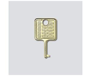 Siedle 210007018-00 SIED Key for Information Module IM 511-0 Stainless Steel