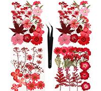 Sieman Pack 64pcs Red Dried Flowers for DIY Crafts, Resin, Candles, Jewelry, Decor