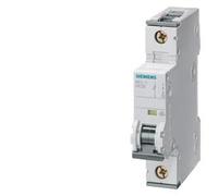 Siemens 5SY6 Circuit Breaker - 5SY61107