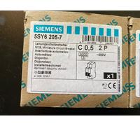 Siemens 5SY6205-7 Load Disconnect Switch C0.5A 2-Pole Gray NEW & OVP