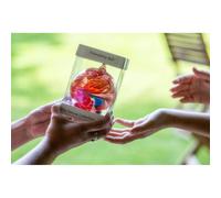 Hanging Glass Friendship Ball 10cm diameter , Pearl