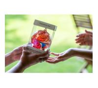 Sienna Glass 10cm Friendship Ball White Sienna Glass White