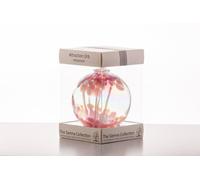 Sienna Glass Attraction Orb Friendship In Baby Pink Baby Pink