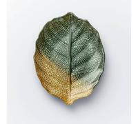 Sienna Glass Glass Plate Leaf Design Green & Gold Green