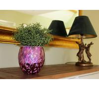 Sienna Glass Self Watering Plant Pot Pink & Purple Pink