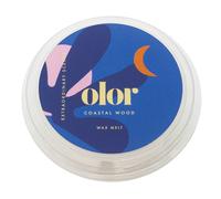 Sienna Glass Wax Melt - 50g - Coastal Wood