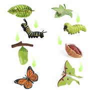 SIENON 4pcs Butterfly Life Cycle Toy Figurines and 4pcs Actias Ningpoana Figure-Plastic Caterpillar to Monarch Butterfly Growth Cycle Toy Insect Figures Teaching Tools School Project for Kids