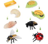 SIENON 8pcs Insect Life Cycle Figurines of Honey Bee and Ladybug-Plastic Insect Animal Growth Cycle Kit Montessori Toy Insect Figures Toy Learning Tools School Project for Kids Age 3+