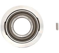 Sierra 18-21001 Gimbal Bearing, white