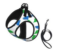 Sierra Leone Flag Map Print Small Dog Harness with Leash Set, No Escape Easy Walk Puppy Harnesses for Training Walking