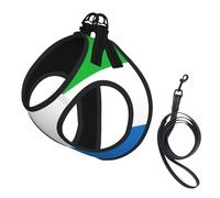 Sierra Leone Flag Print Dog Harness Small Sized And Leash Set, Step In Soft Light Puppy Vest Breathable Mesh Pet Harness