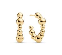 Sif Jakobs 18k Gold Plated Bormio Circolo Piccolo Earrings - SJ-E2778-YG - Gold Plated