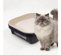 Sifting Cat Litter Box Large - Large Cat Litter Pan with Intelligent Sifting System for Hygiene, Savings & Comfort - Durable High Back Litter Box, Easy Clean Design for Happy Cats (Black)