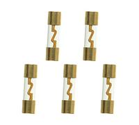 SIGANDG 30A AGU Fuse Gold Plated Glass Car Audio for Car Auto Marine Audio Stereo Amplifier Power Protection (Pack of 5)