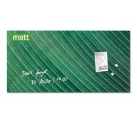 SIGEL Artverum Glass Magnetic Board 91 x 46 cm | GL371, matt surface, safety glass, easy installation, includes 3 neodymium magnets, green palm leaf