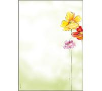 Sigel Writing Paper Spring Flowers DP123 A4 90 gsm 50 sheets