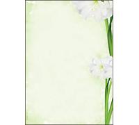 SIGEL DP463 Writing paper "Amaryllis", A4, 90 gsm, 25 sheets