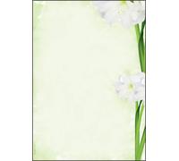 SIGEL DP463 Writing paper "Amaryllis", A4, 90 gsm, 25 sheets