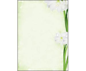 SIGEL DP463 Writing paper "Amaryllis", A4, 90 gsm, 25 sheets 25 sheets lillies -