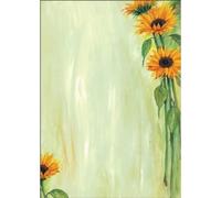 SIGEL DP694 Writing paper "Sunflower", A4, 90 gsm, 100 sheets 25 sheets pastel s