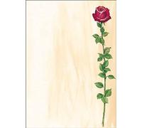 DP695 Writing paper "Rose Bloom", A4, 90 gsm, 25 sheets
