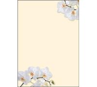 SIGEL DP904 Motiv-Papier "White Orchid", Briefpapier 90 g, DIN A4, 50 Blatt, aus