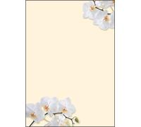 SIGEL DP904 Writing paper "White Orchid", A4, 90 gsm, 50 sheets 50 sheets white