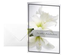 Sigel DS006 Sympathy Cards with White Amaryllis Design 17x11.5 cm Including Whit