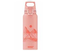 Sigg Water Bottle WMB Pathfinder 1 L