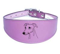 Sighthound Collar Luxury Padded Leather Handmade for Greyhound and Whippet NL39