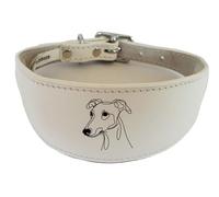 Sighthound Collar Luxury Padded Leather Handmade for Greyhound and Whippet NL39