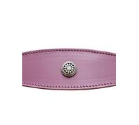 Sighthound Leather Collar for Whippet and Greyhound, Decorative Stud Design, DS 3